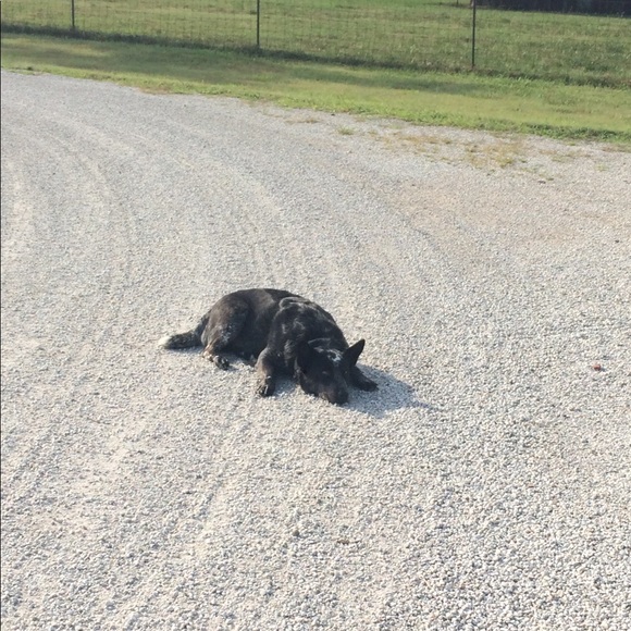 Meet the Posher! - Picture 7 of 8